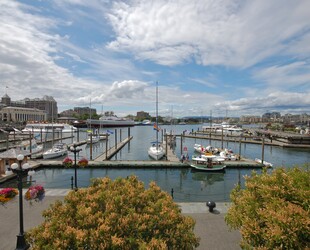 DISCOVERING INNER HARBOUR